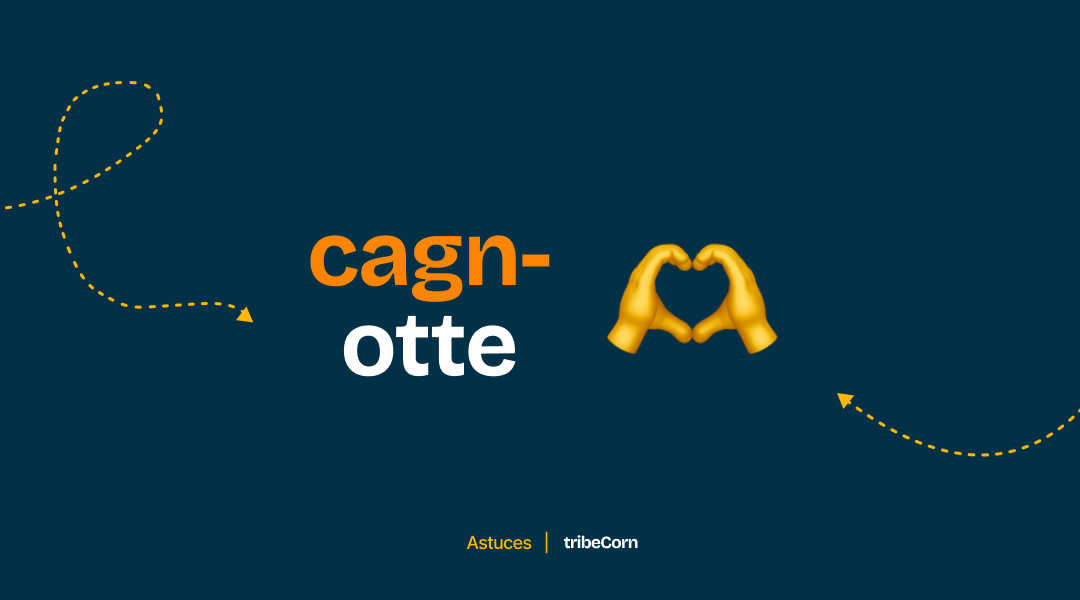 Cagnotte, crowdfunding, c'est quoi - TribeCorn crowdfunding en Afrique
